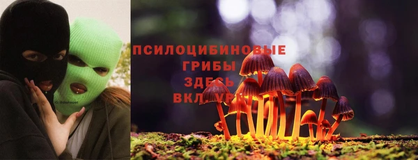 spice Абаза