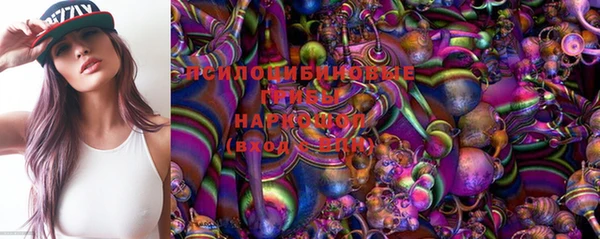 амф Абинск